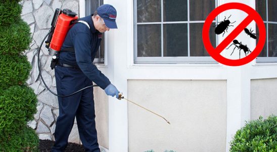 Hatundere Gümüşkurt İlaçlama böcek ilaçlama ve haşere kontrolü — ilaclama-tr.com